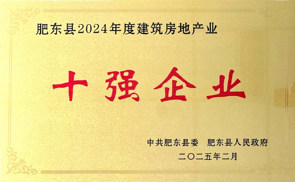 肥东县2024年度十强企业